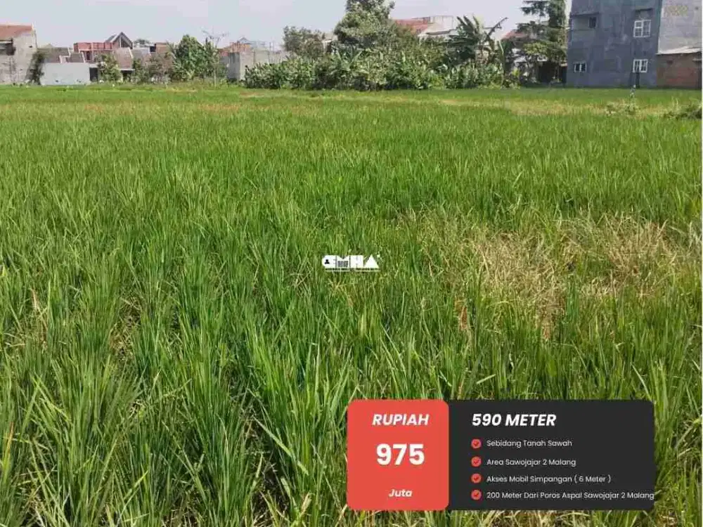 Dijual Murah Sawah Lokasi Strategis dan Prospektif Hanya 200 meter Dari Jalan Raya Aspal Area Sawojajar 2 Malang