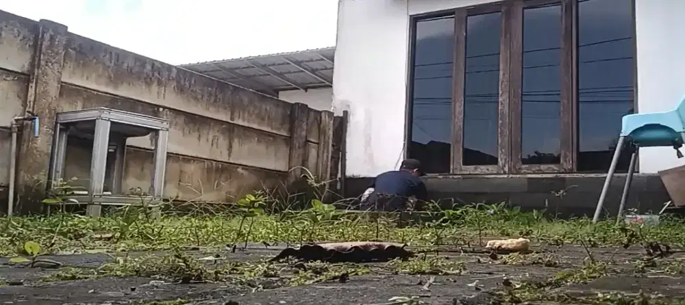 jasa tukang kebun atau serabutan harian