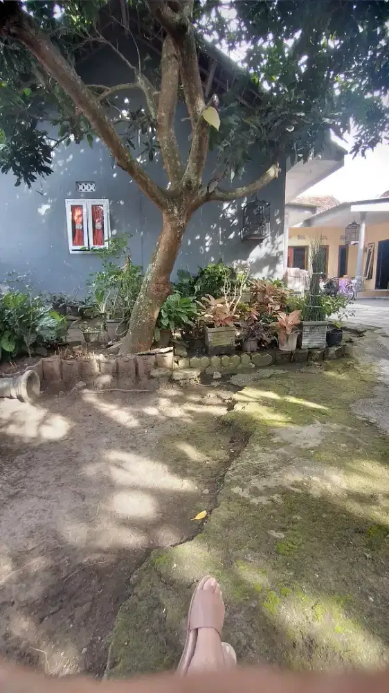 Tanah lingkungan Aman & Tenang