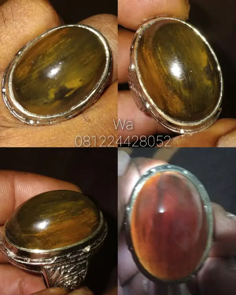 Fosil kelor serat mas