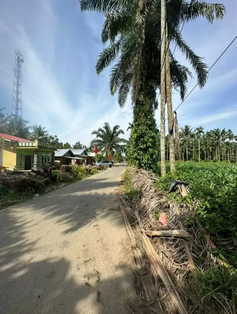 JUAL TANAH DARAT PINGGIR JALAN