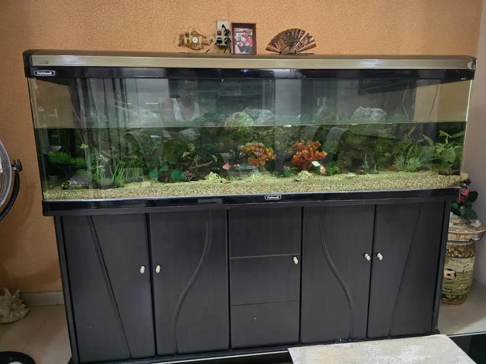 Jual Aquarium Cantik + Kabinet