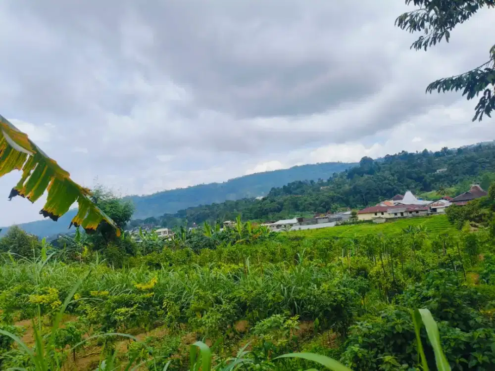 DIJUAL TANAH MURAH KEMUNING