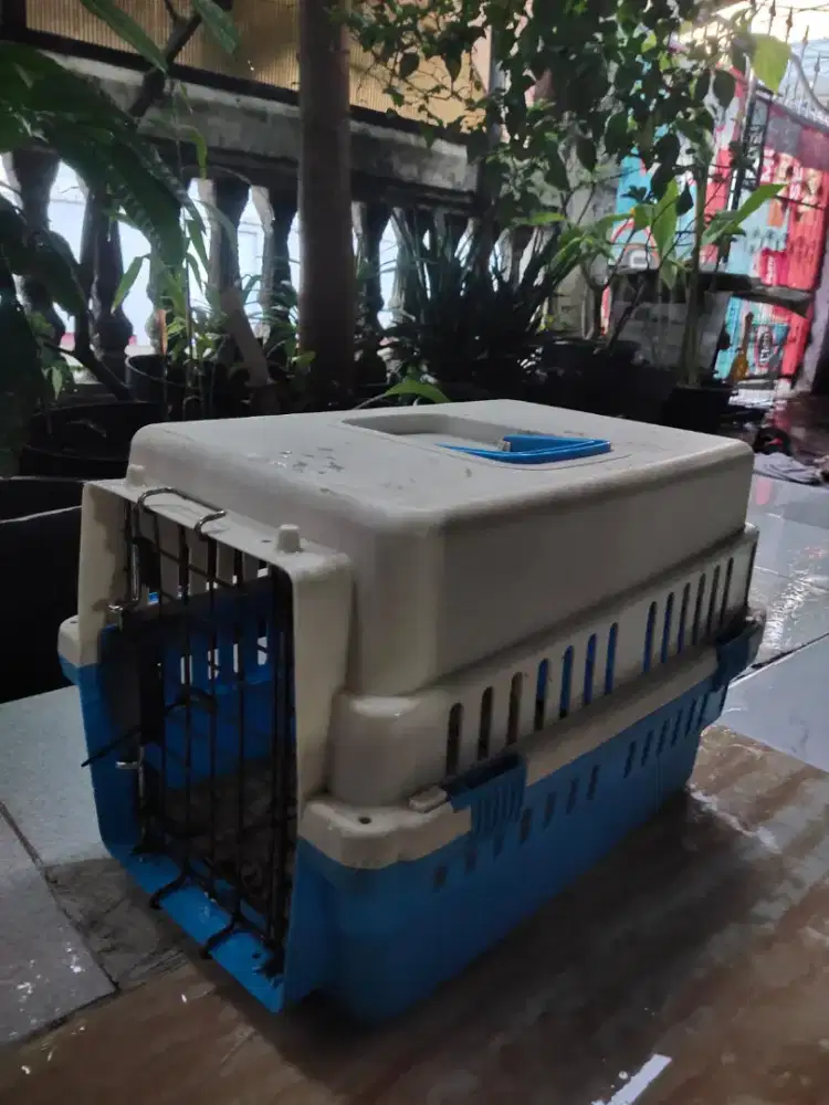 Box Container kucing atau anjing