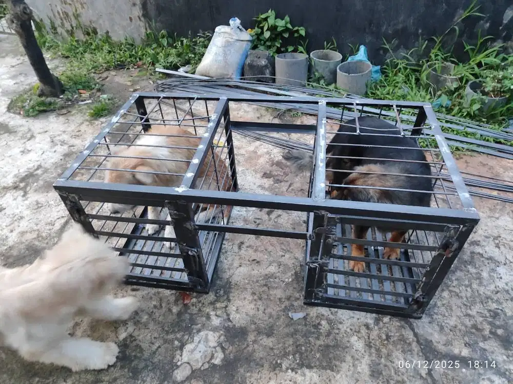 Kandang anjing pemburu di motor