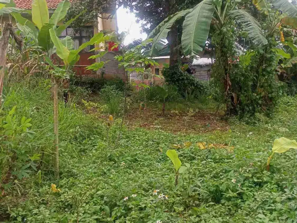 Tanah Murah siap kebun Harga nego sampai deal