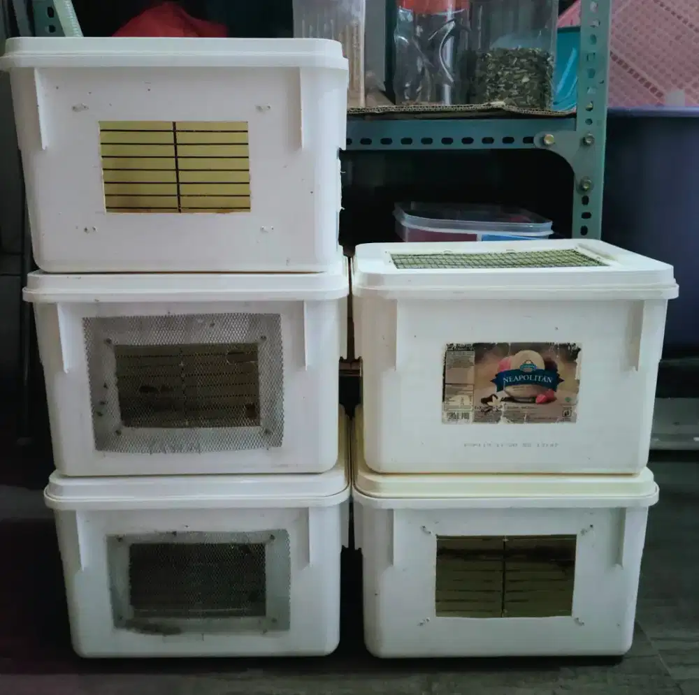 Kandang hamster modif