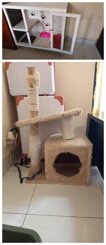 Kandang Kucing Box + Cat tree