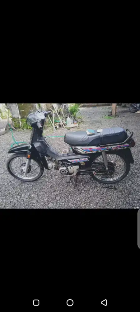 Astrea grand bulus 93