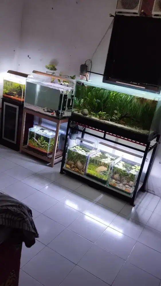 Aquarium Lengkap 1 Set
