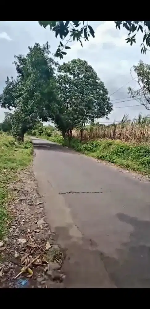 Lahan Zona Industri Poros Jalan Raya Lebar Depan 200 meter