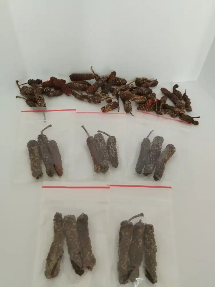 REMPAH CABAI JAWA KERING ORGANIK