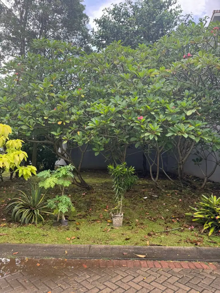 Dijual Tanah Dekat Boulevard RS Pondok Indah Bintaro Tangsel WT-17543