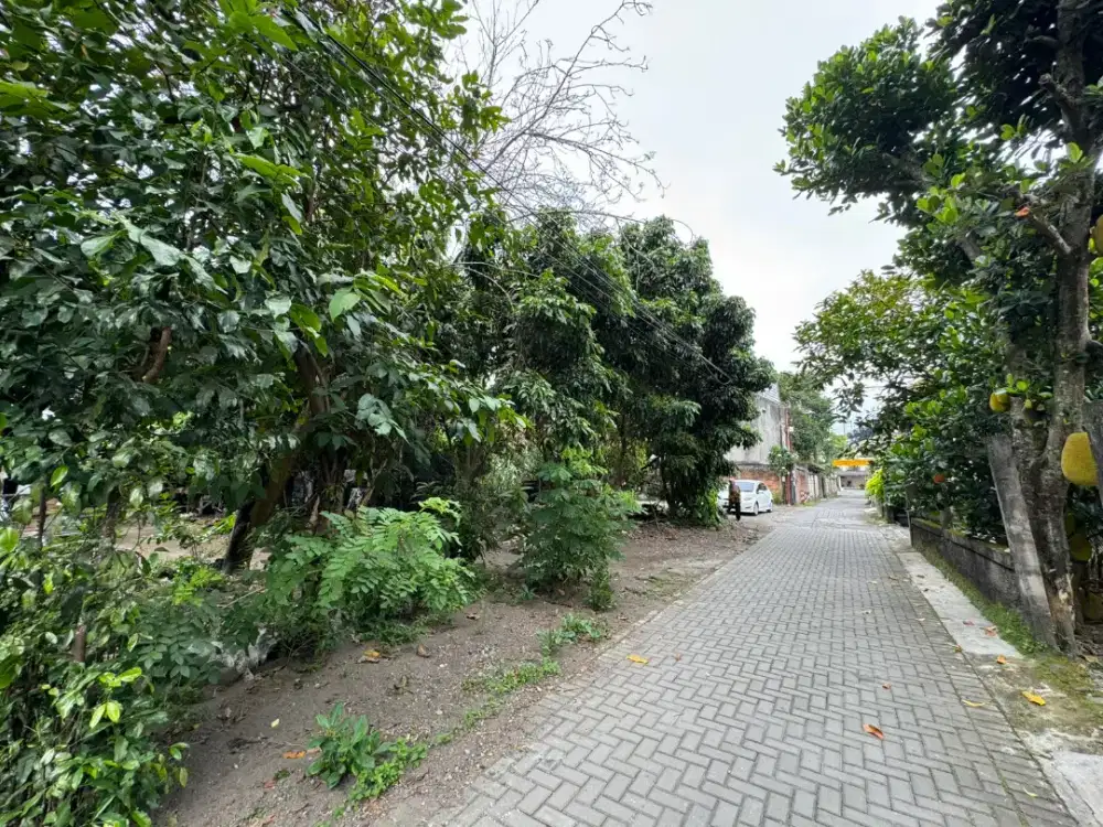 Jual Tanah Murah di Maguwoharjo Sleman