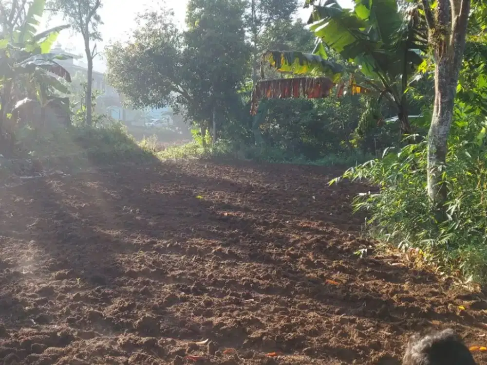 Dijual Tanah Mega Mendung, Arah Taman Safari Bogor