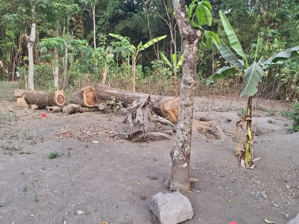 DIJUAL PEKARANGAN JOHO, PRAMBANAN LUAS 110M