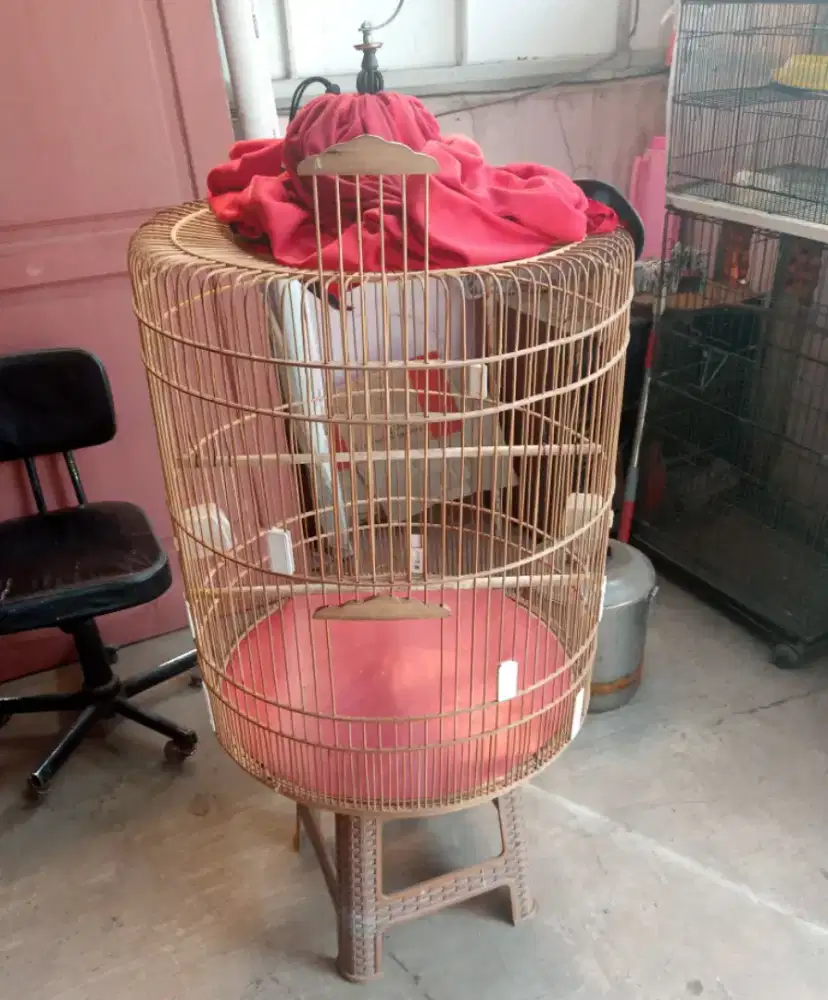 Kandang murai no 2 bt kutut bk beti