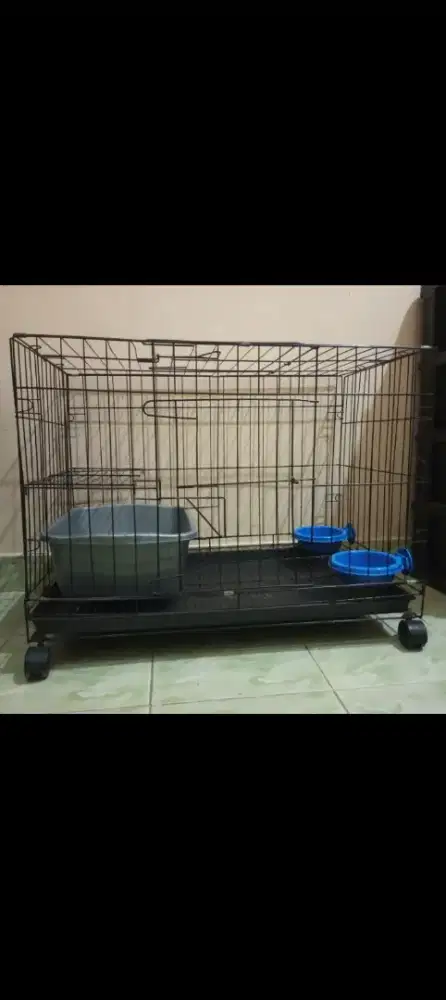Kandang kucing kucing 90%