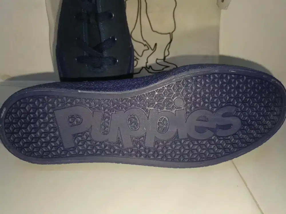 Sepatu Hush Puppies (Tidak jadi dipakai)