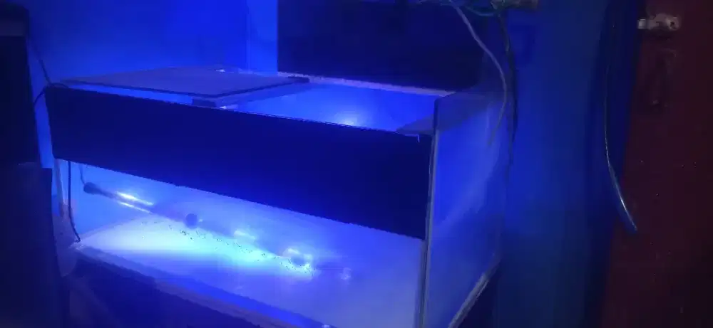 Aquarium Bekas 80.40.40