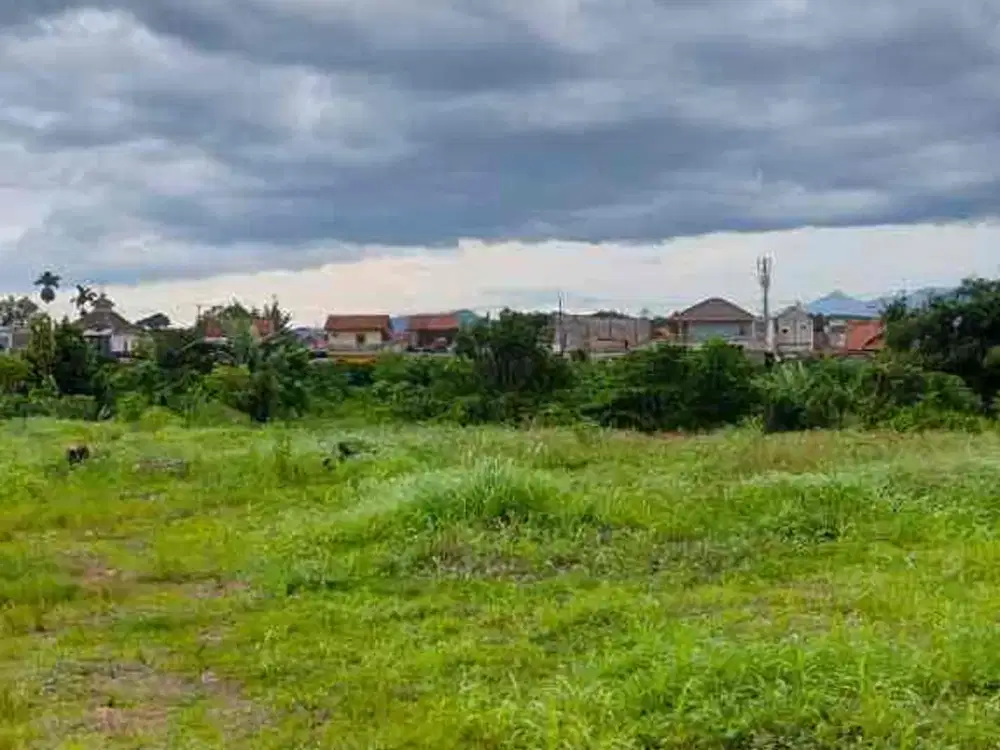 Jual lahan di Jl Raya Jakarta Bogor Jalan Sholeh Iskandar Cibadak Tanah Sereal Bogor