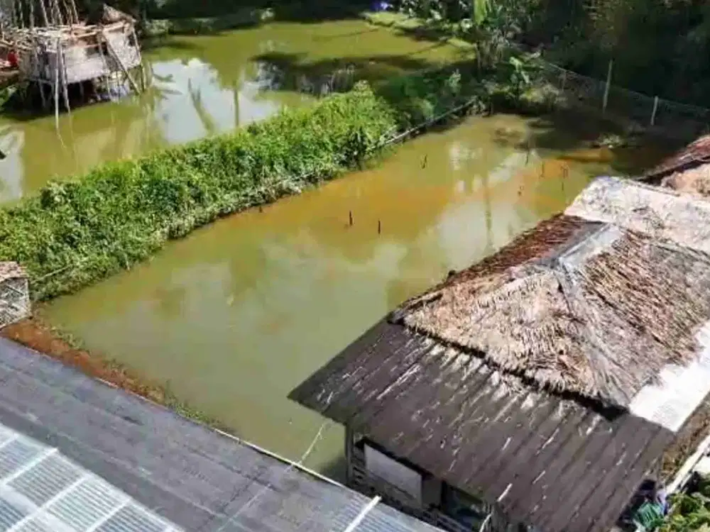 Jual 100 rb/m², Tempat Usaha Koi dan Villa, Desa Cikembang, Caringin, Sukabumi, Jawa Barat