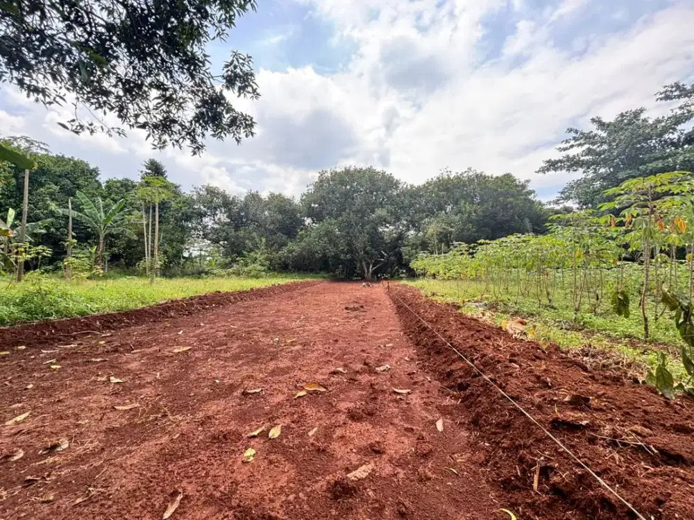 Dijual Tanah Kavling Beasi-Dekat PONPES Modern Insan Tarbawi