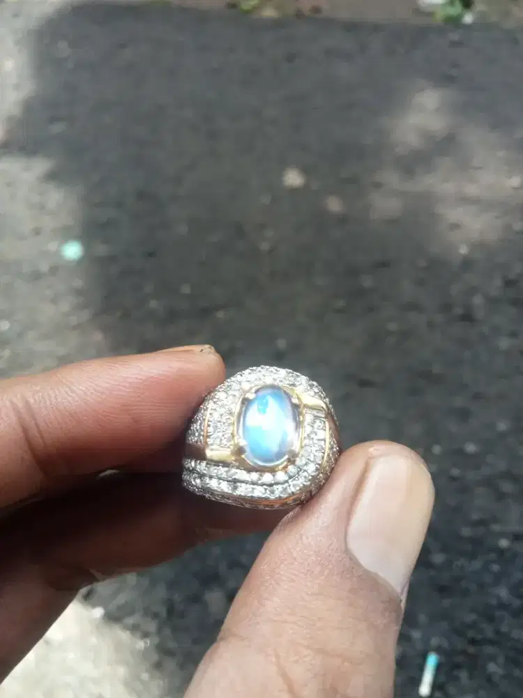 Biduri bulan air laut