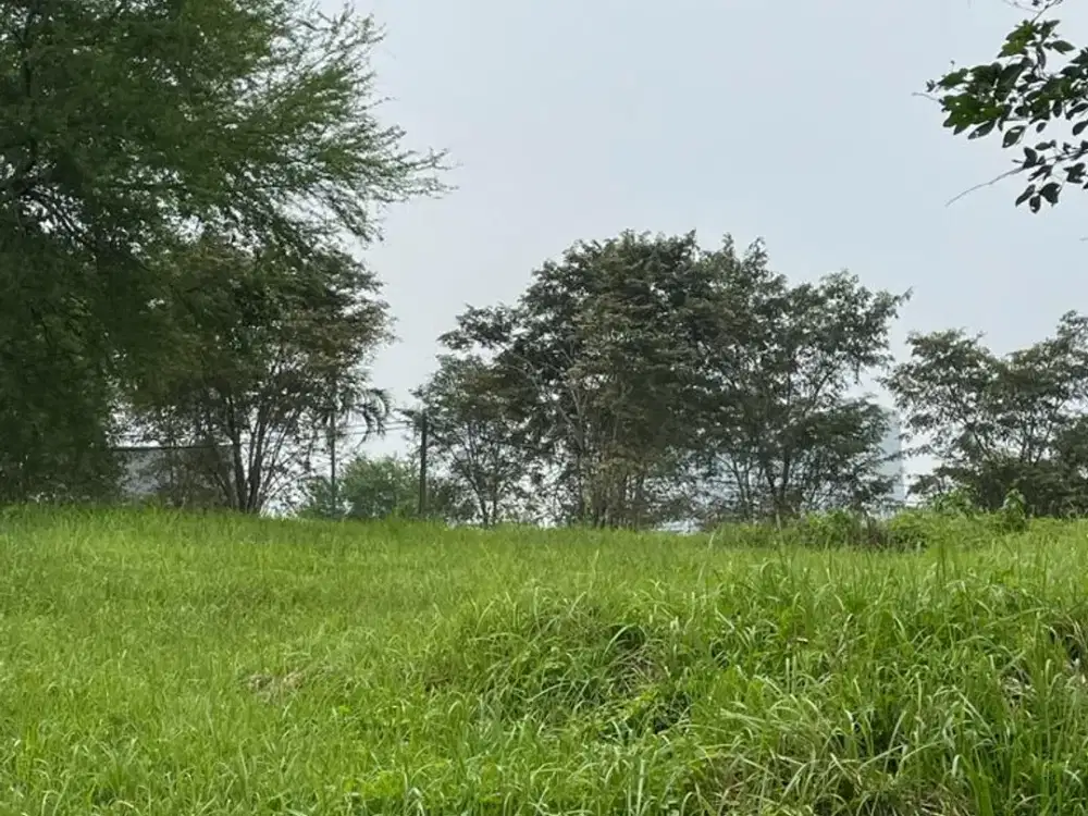 Dijual Tanah Atau Kavling Cluster Taman Simpruk Lippo Cikarang TTS162EJ