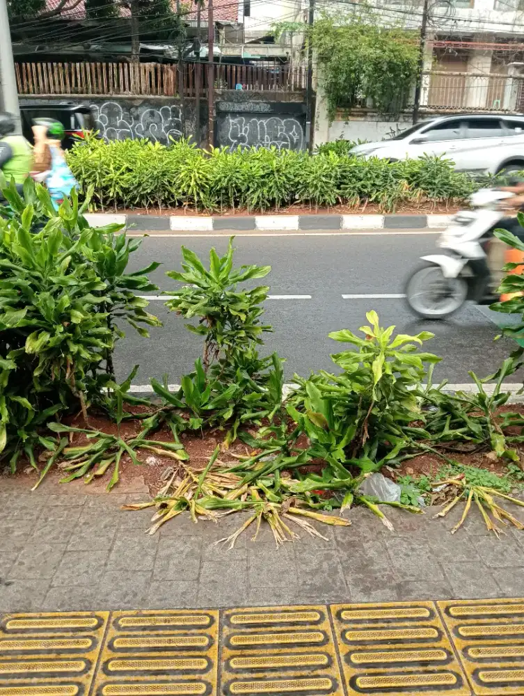 Mencari pekerjaan sebagai driver pribadi dll