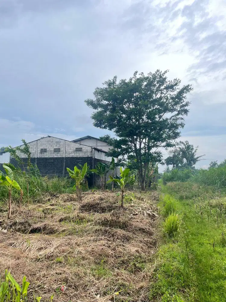 Tanah Pekarangan Strategis