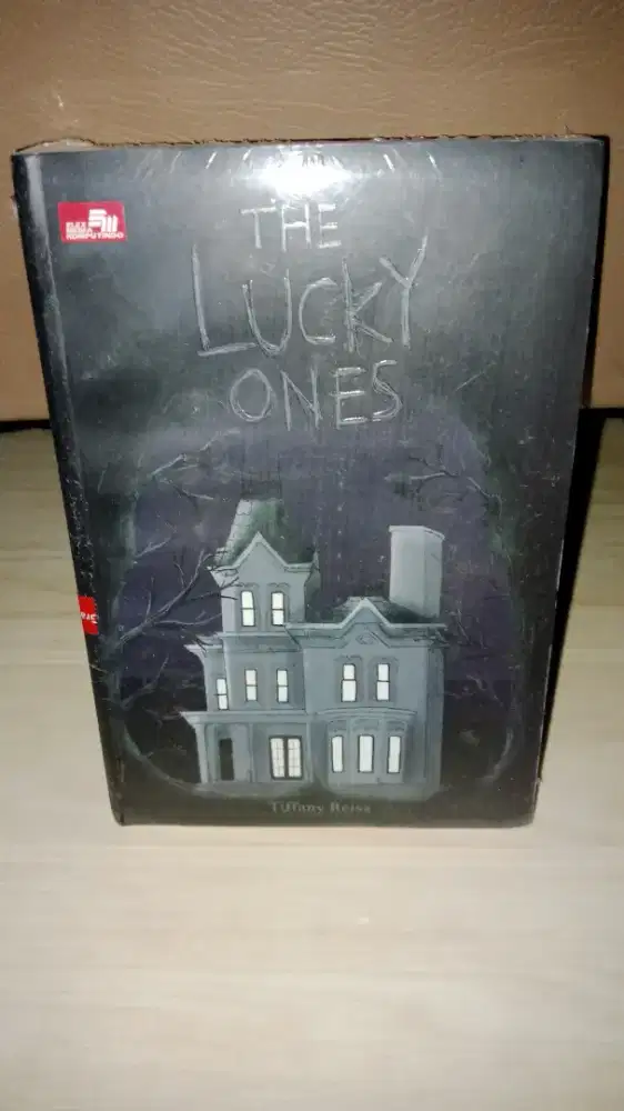 Novel The Lucky Ones