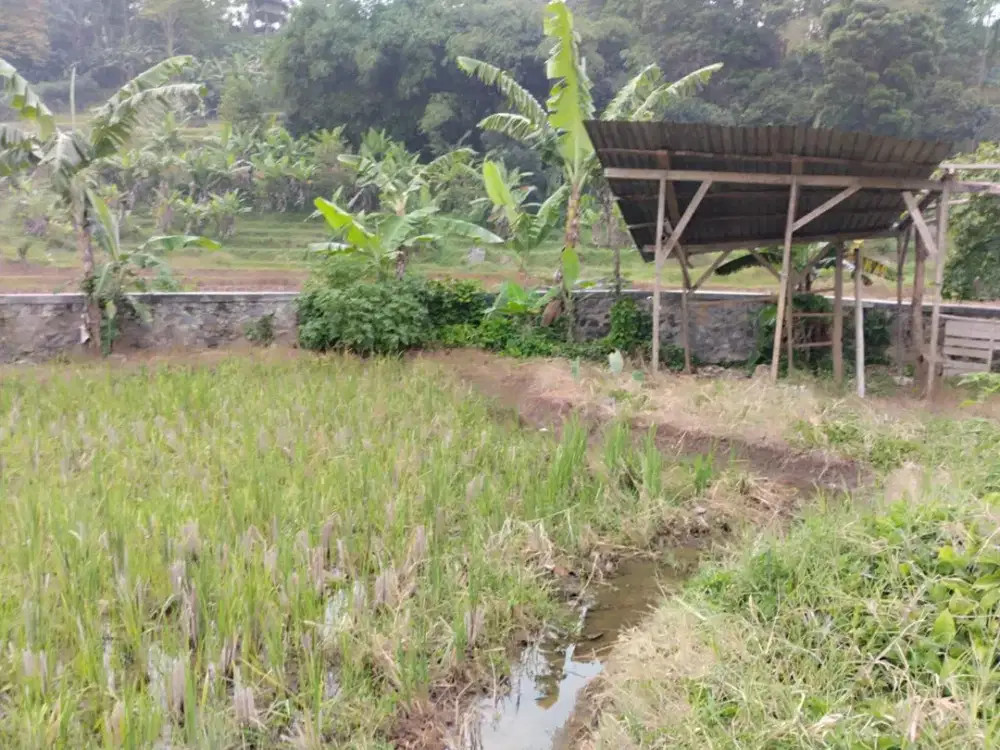 TANAH PASIRJATI UJUNGBERUNG BANDUNG (UB1781)