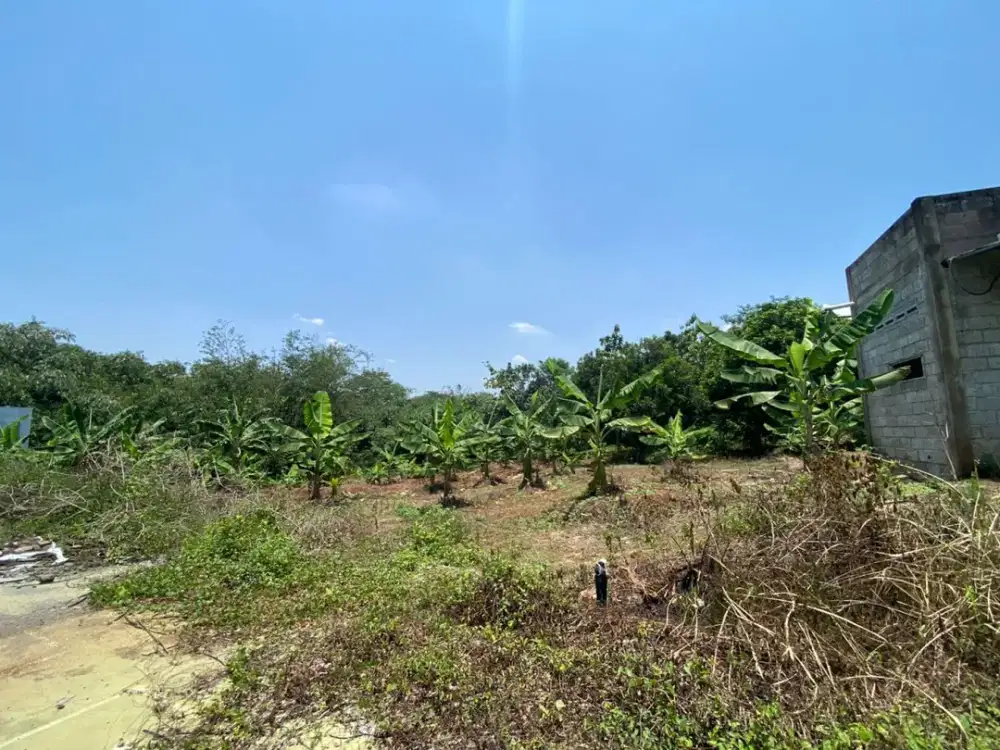 TANAH CIRENDE CAMPAKA PURWAKARTA (CK391)