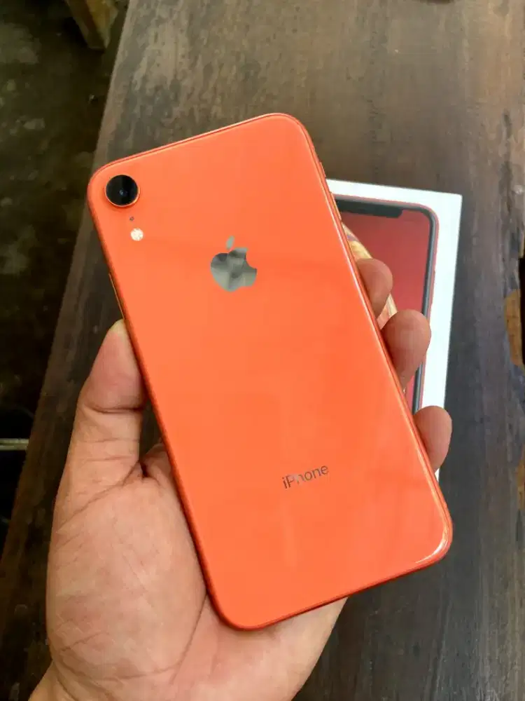 Xr 64 beacukai bh 80