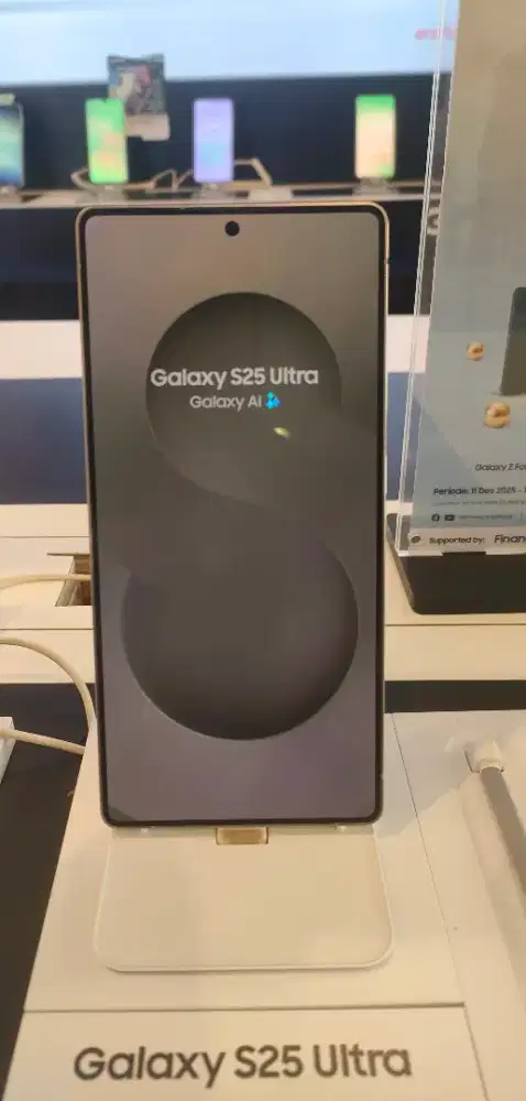 Samsung Galaxy S25 Ultra