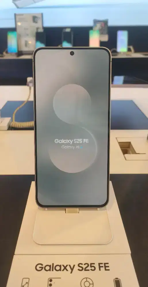Samsung Galaxy S25 FE