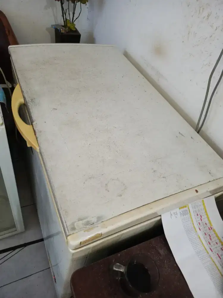 Freezer box ukuran sedang
