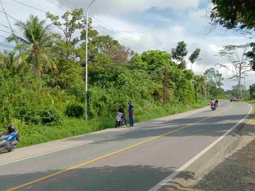 Bismillah dijual Tanah untuk Gudang dan Workshop pinggir jalan soekarno hatta km 23