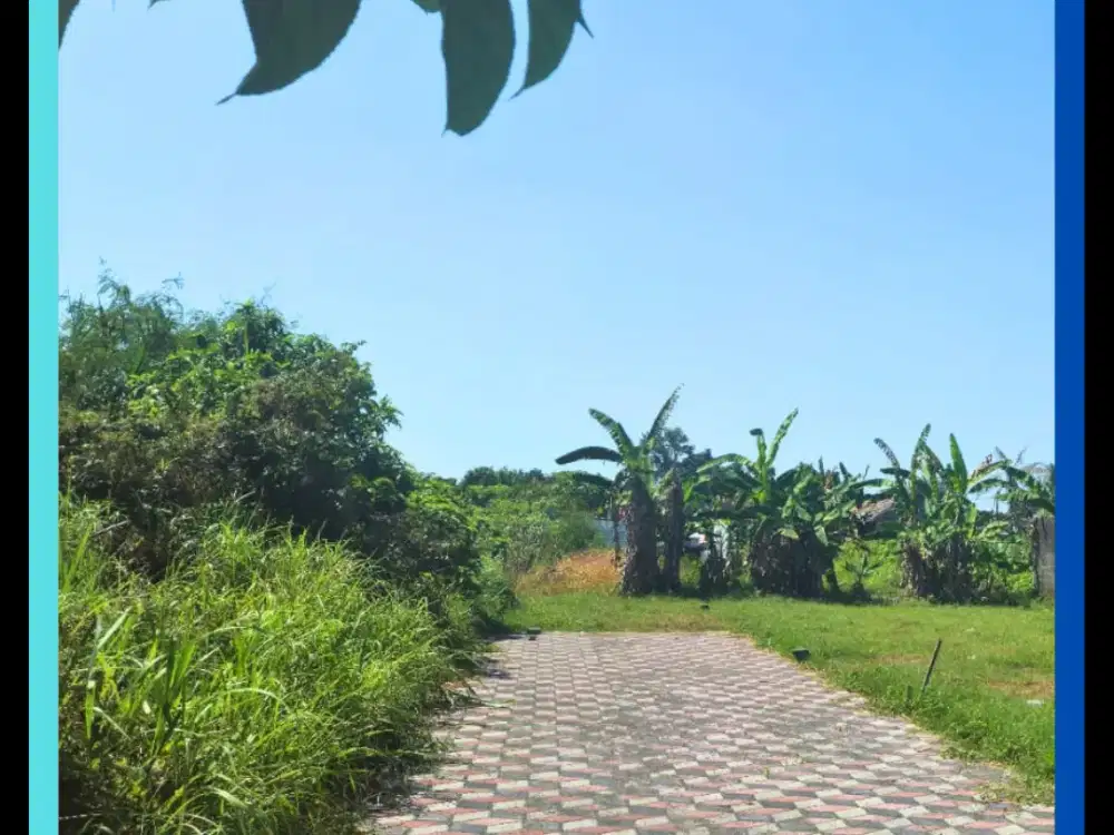 Tanah Luas 131 M2 SHM Pekarangan Area Maguwoharjo Jogja