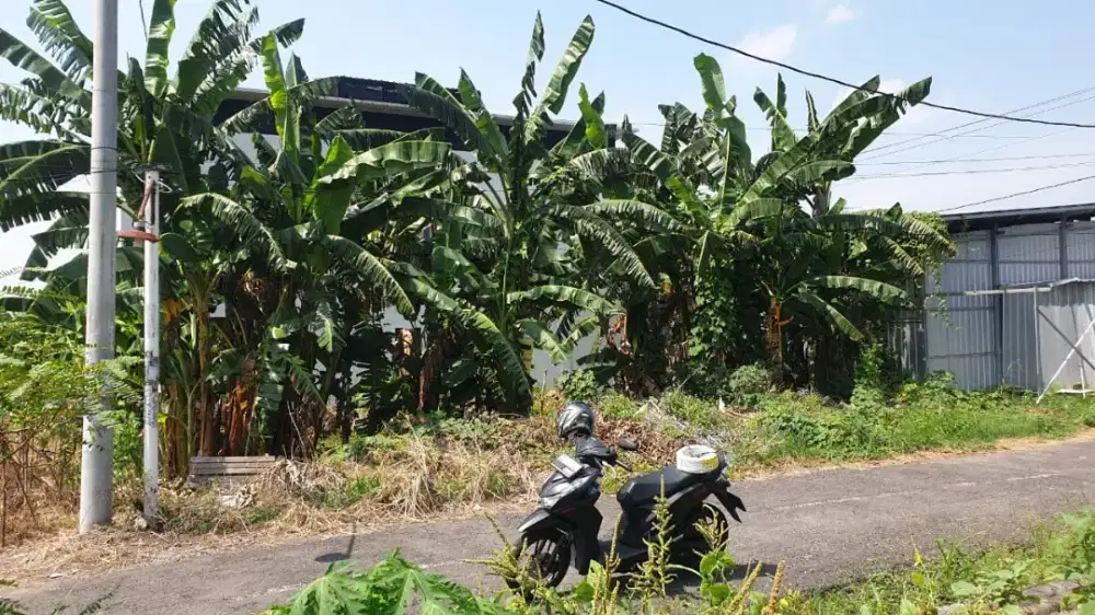 Dijual Tanah Hak milik, karanganyar, colomadu, Jawa tengah