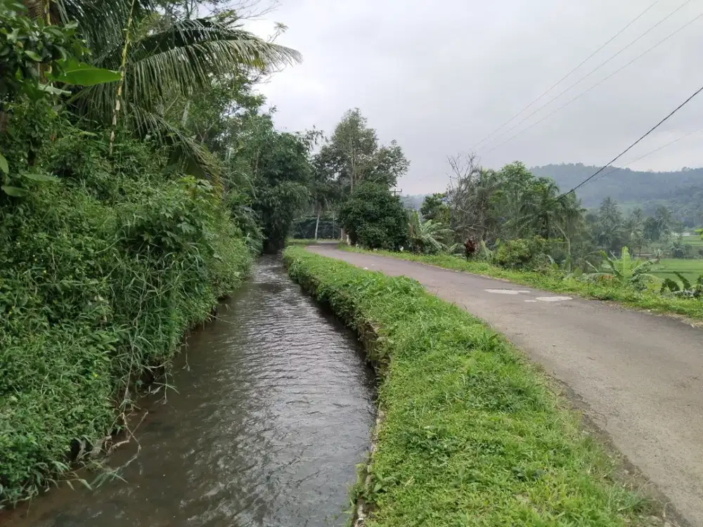 Sawah & Kebun Dikawasan Vila Nempel Ke Irigasi Besar