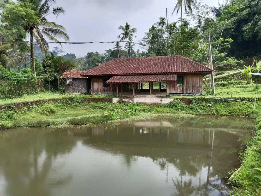 DIJUAL 2 KOLAM IKAN AIR BESAR DAN ADA SAUNG DI BOJONG PURWAKARTA.