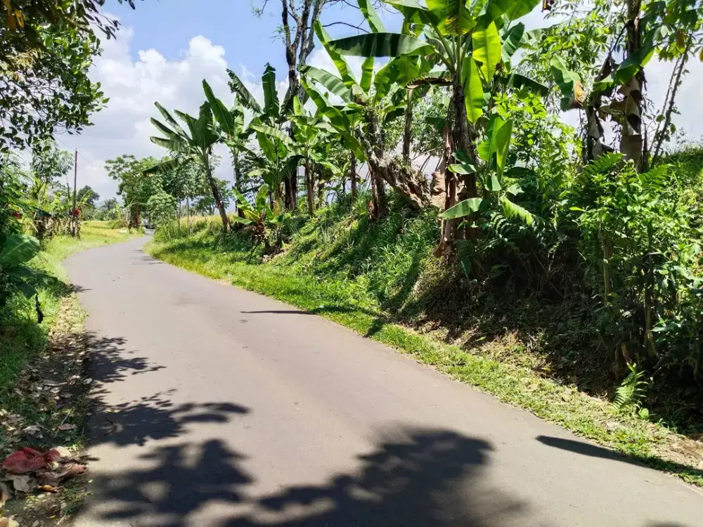 dijual tanah sawah view gunung air tidak pernah surut akses mobil