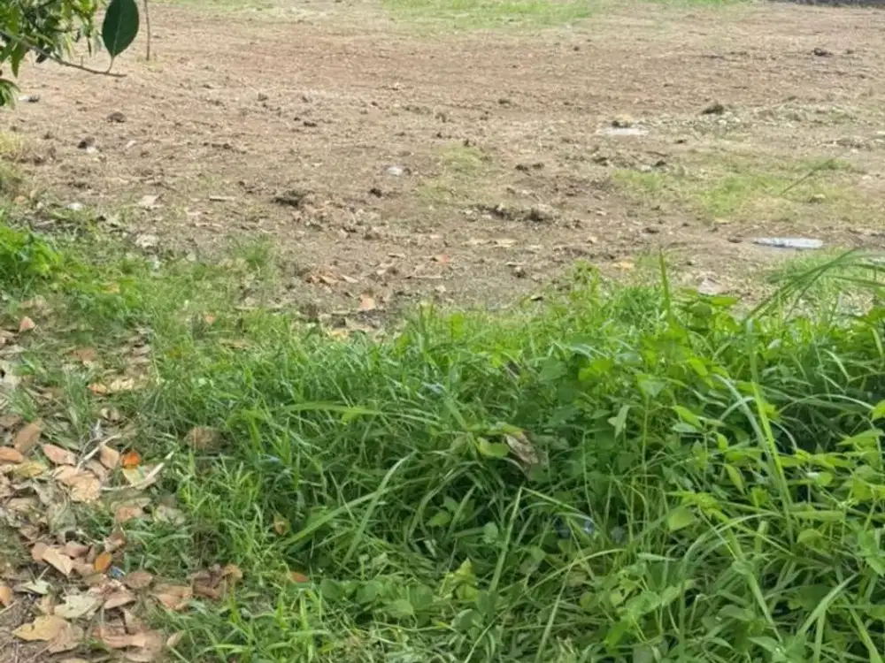 JUAL TANAH BAGUS KESIMAN