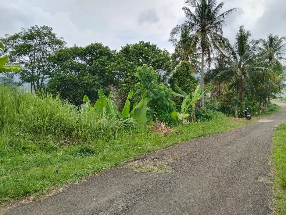 Dijual Kolam Ikan Dan Kebun, Pemandangan Bagus Dan Air Melimpah