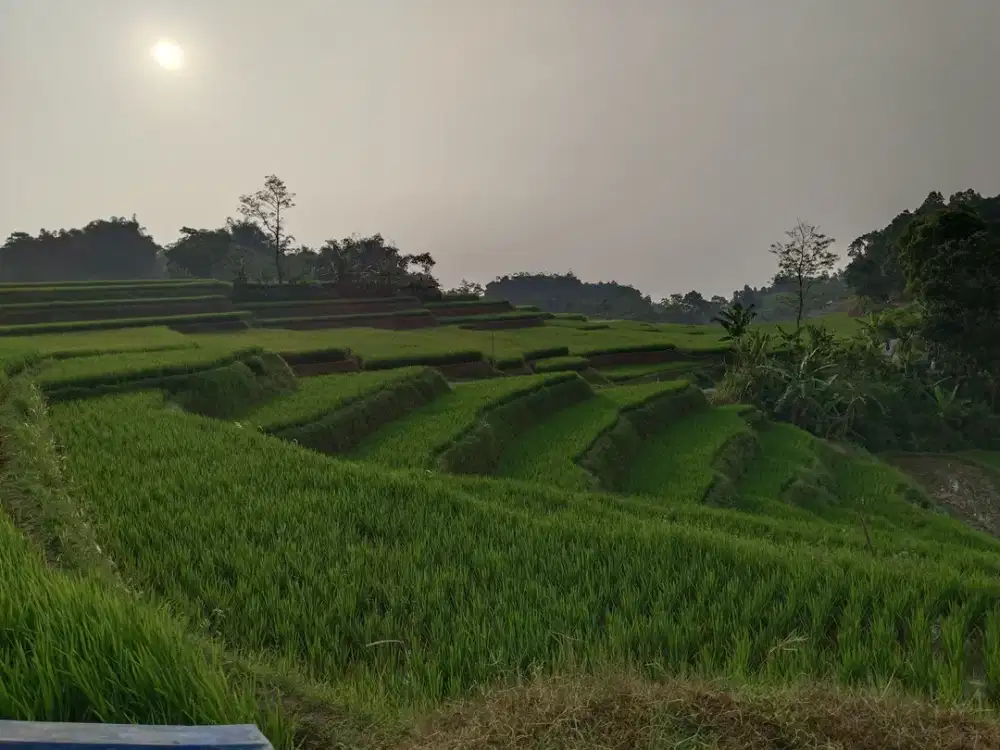 SAWAH PRODUKTIF VIEW ALAM HIJAU, 5Km dari Tol Darangdan