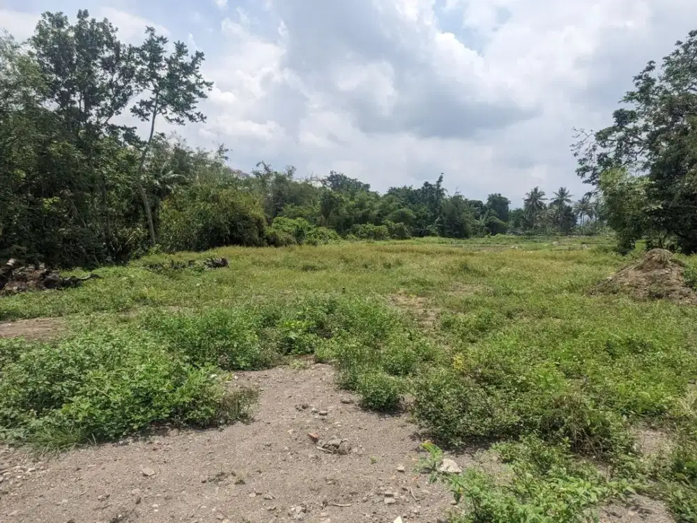 SHM Ready Tanah Pakem Turi Siap Bnagun 5 Menit Kopi Klothok