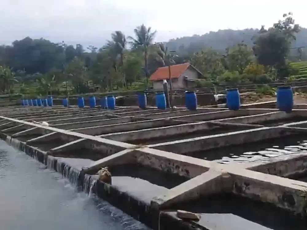 Jual Kolam Deras, Kolam Ikan, Sudah Produksi Perusahaan Prinadi