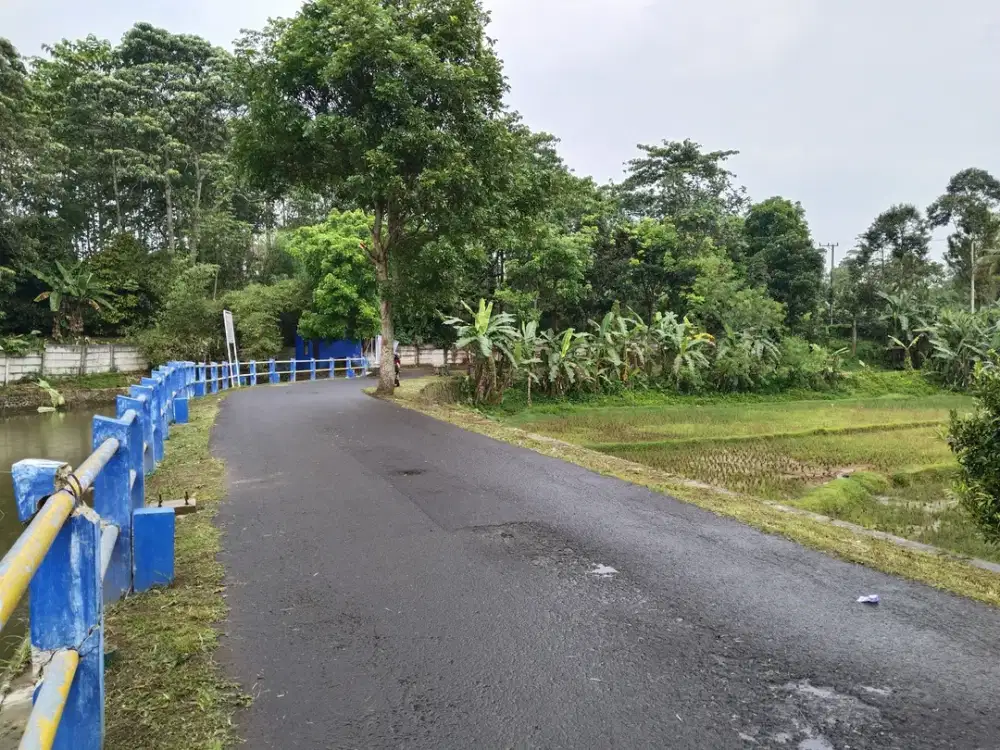 Dijual Tanah Sawah Produktif Dekat Danau Situ Cibeber Wanayasa Purwaka